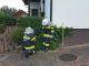 IMG-20150805-WA0020