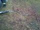 IMG-20160316-WA0005