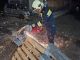 IMG-20250331-WA0012